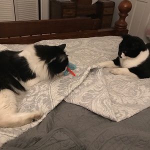 Meet your Posher, Cindy